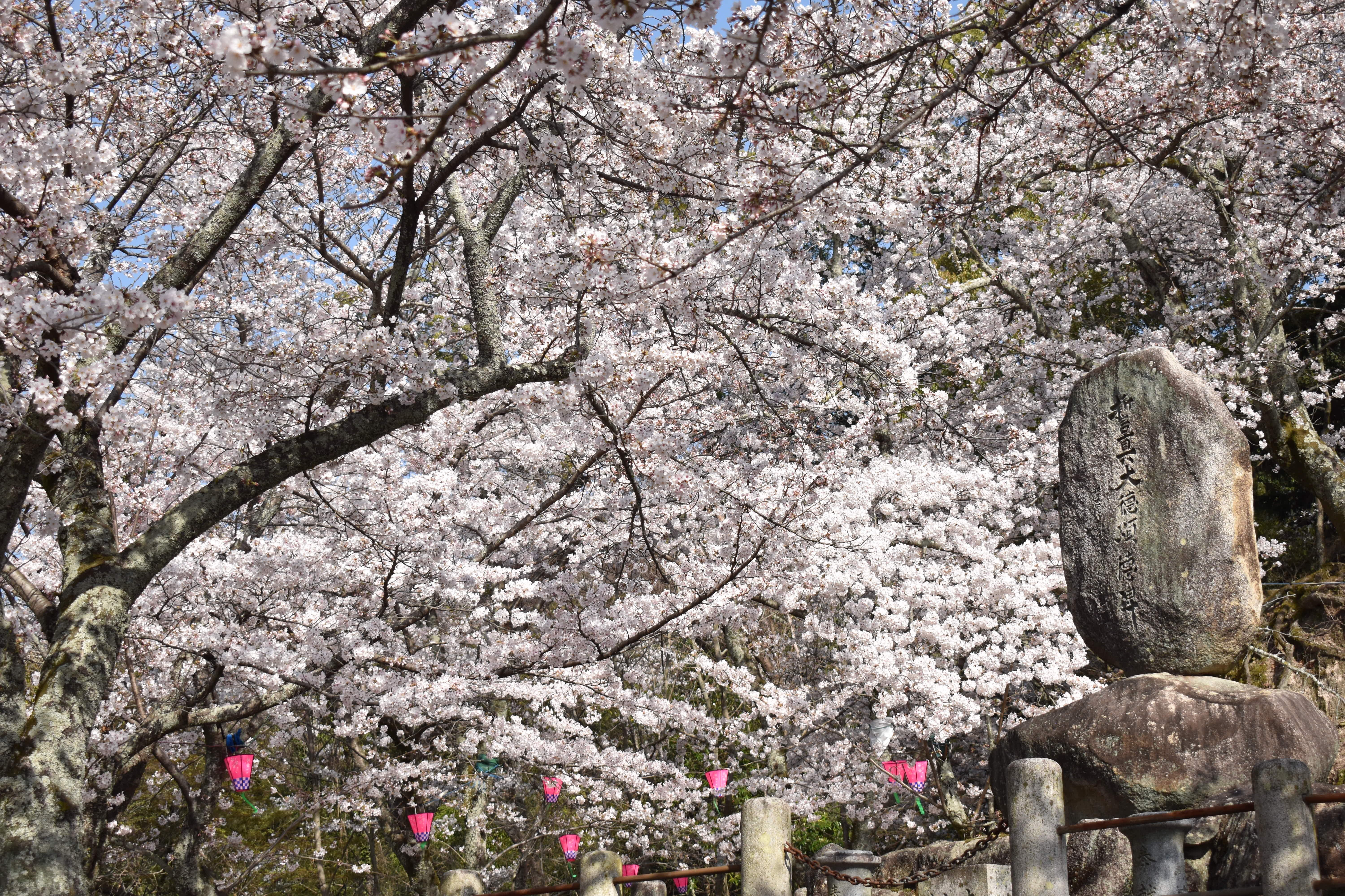 미야지마 자연산책로