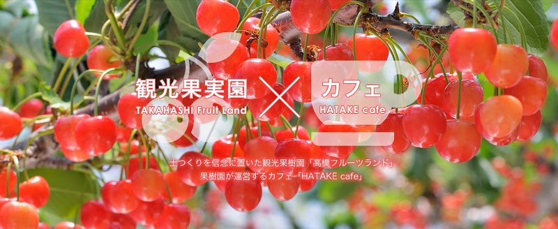 타카하시 프루츠랜드