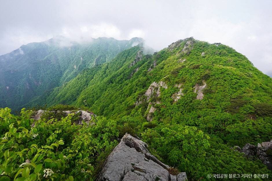 계룡산국립공원
