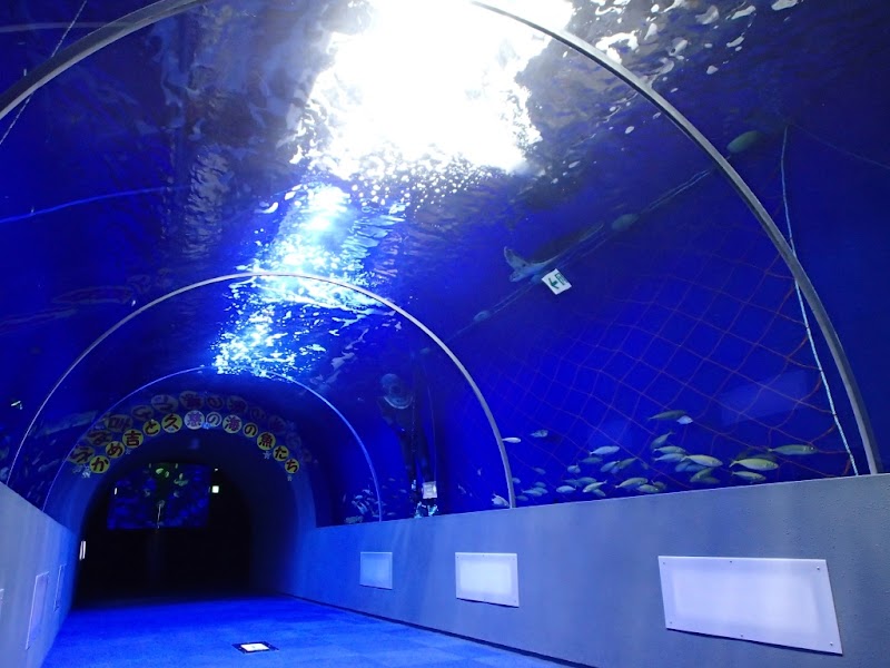 모구란피아(구지 지하수족과학관)