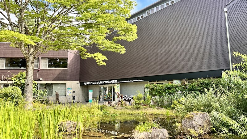 아쿠아마린 이나와시로 물총새 수족관