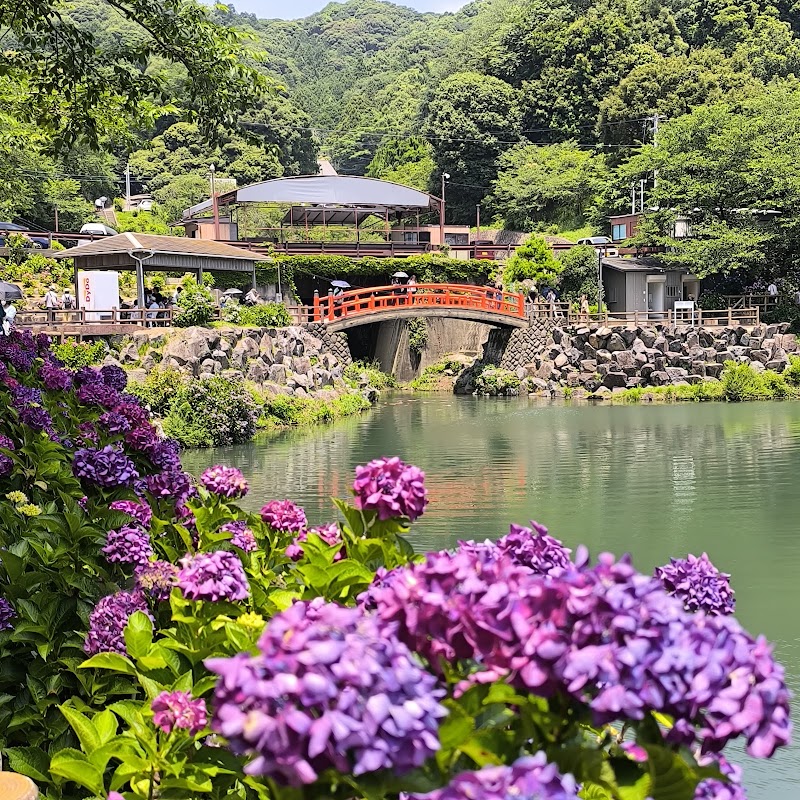 미카와완 스카이라인