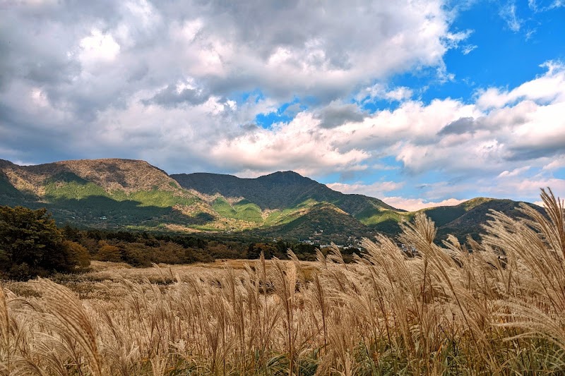 센고쿠하라 억새 초원