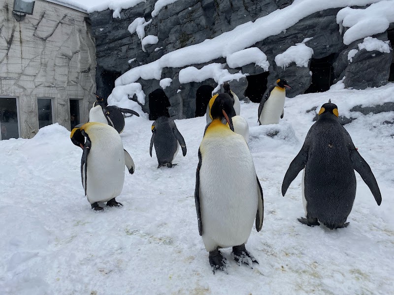 아사히야마 동물원