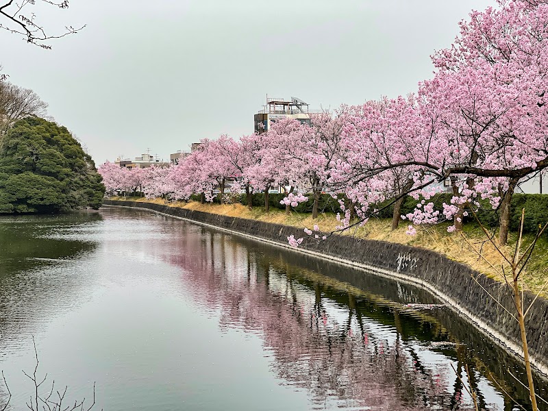 다카오카성터 / 고조 공원
