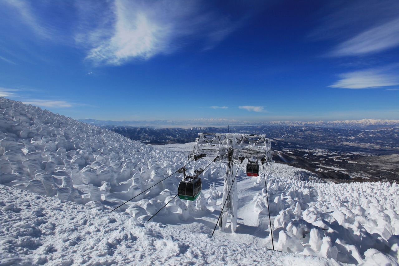 자오 수빙 (주효)