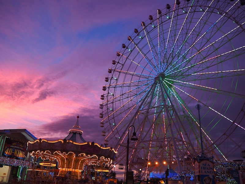 나고야항 시트레인랜드