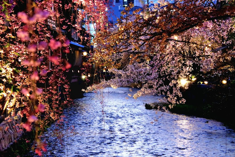 기온 시라카와 (白川南通)