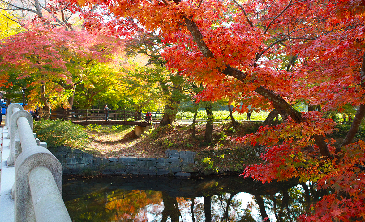 선운산도립공원