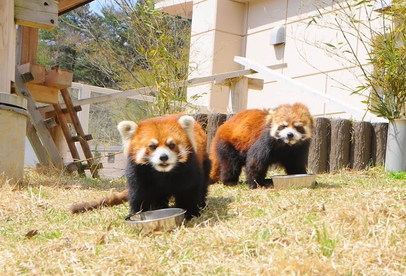 후쿠치야마 시 동물원