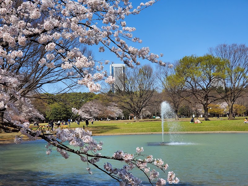 요요기 공원