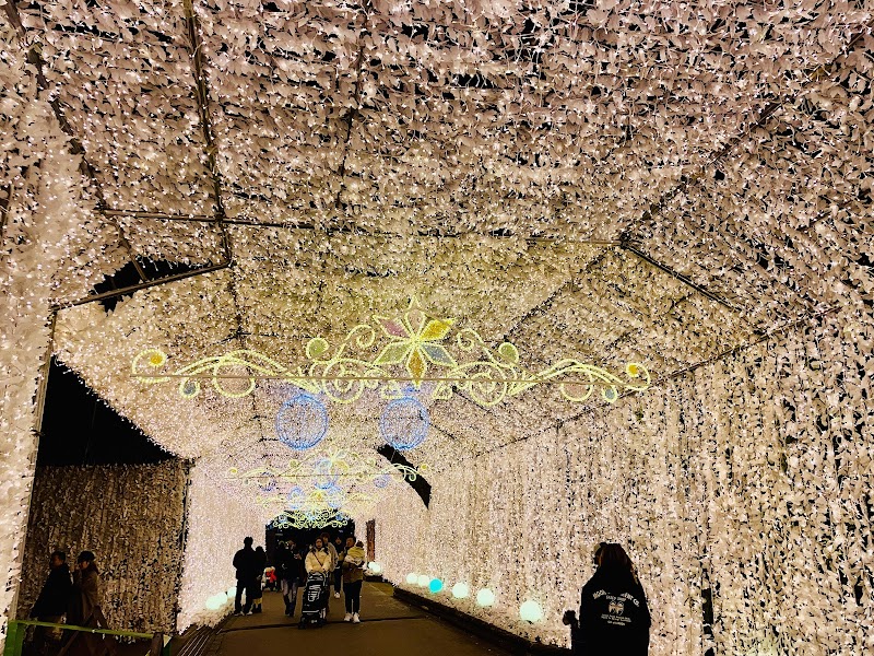 토키노스미카 일루미네이션