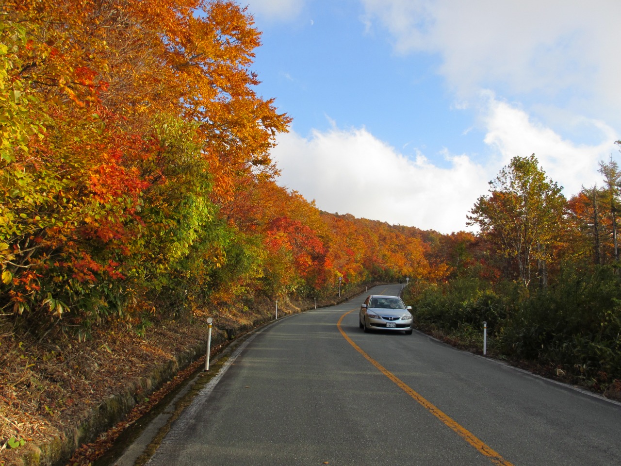 자오 에코라인 눈의 벽