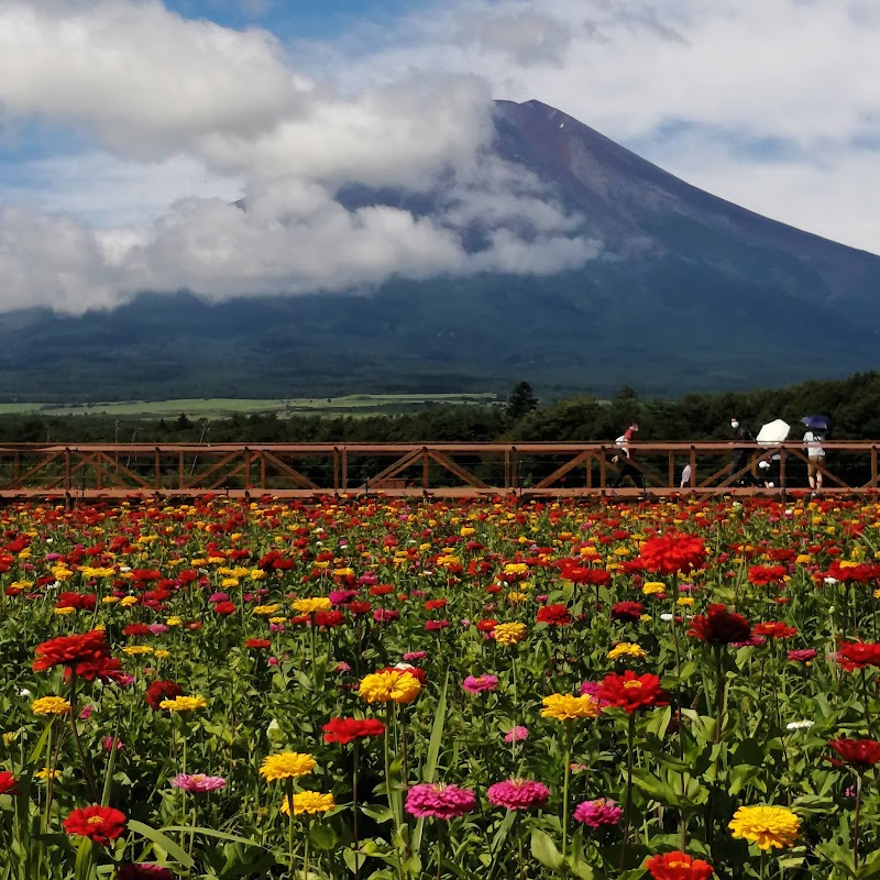 야마나카코 하나노미야코 공원