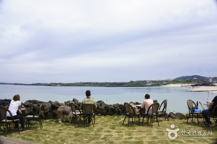 제주 돌하르방공원