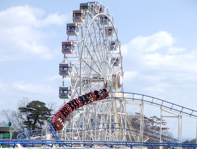 야기야마 베니랜드