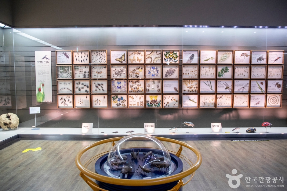 목포자연사박물관