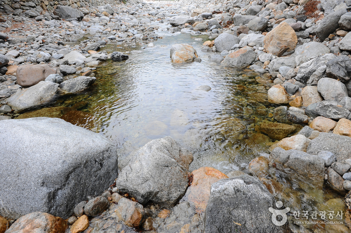삼양검은모래해변