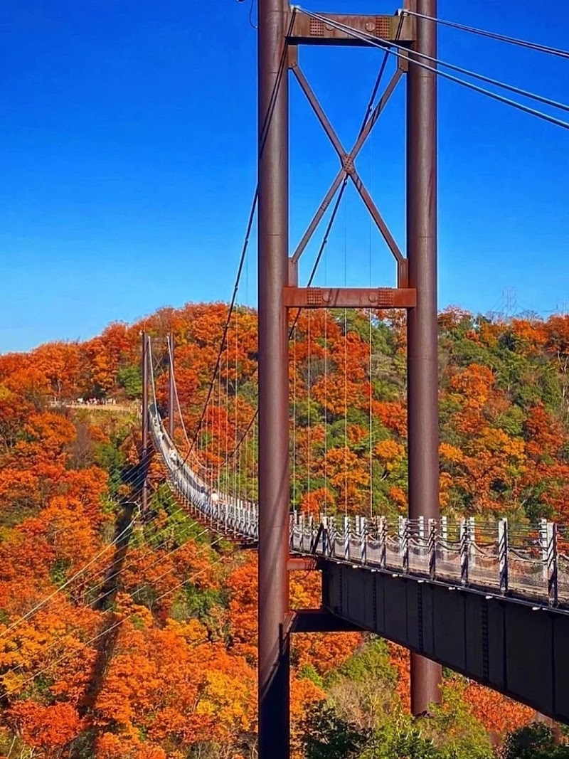 하나사키 자연원