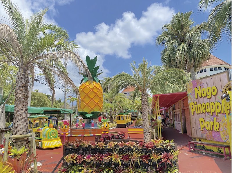 나고 파인애플파크