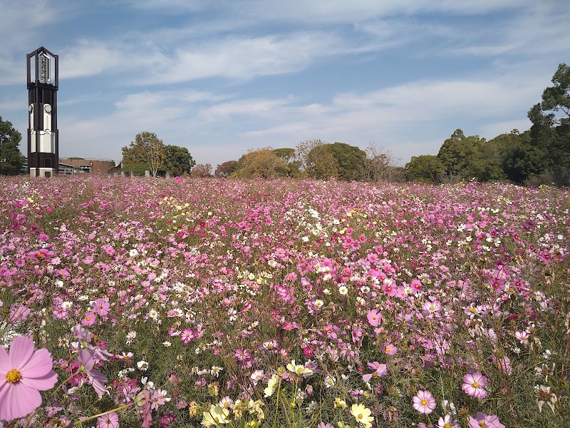 구마모토시 동식물원