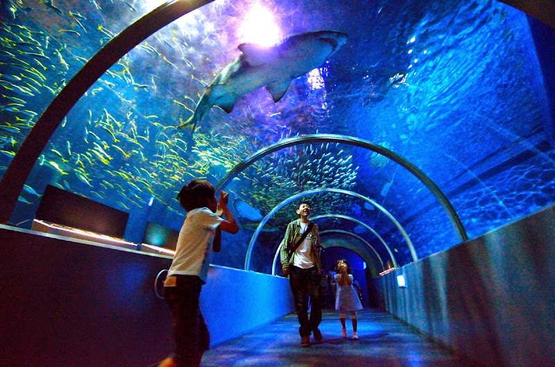 노보리베쓰 마린파크 닉스