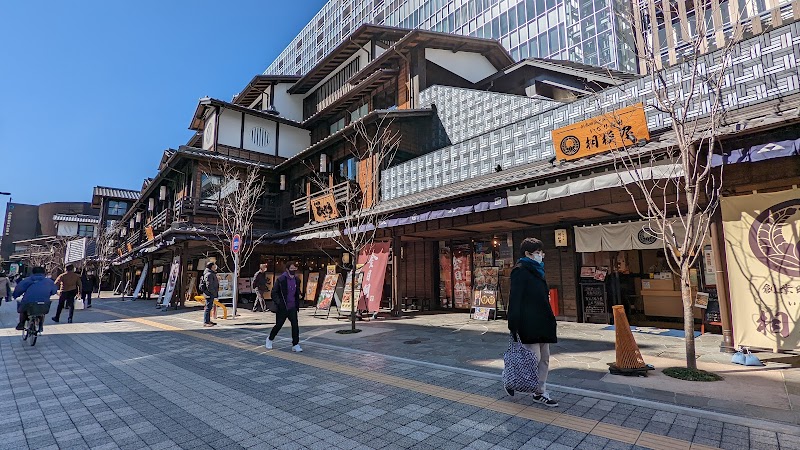 미나카 오다와라