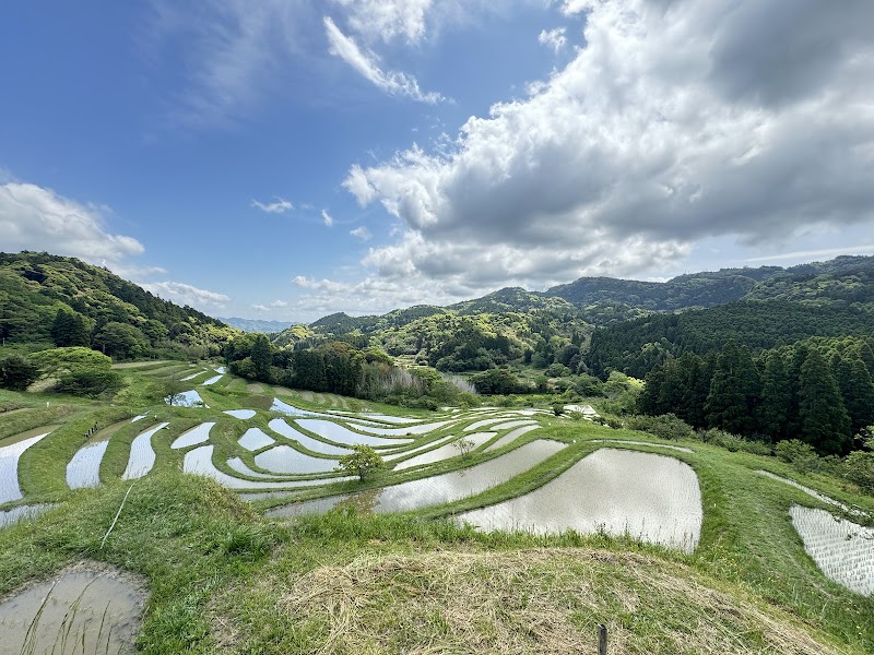 오야마 센마이다