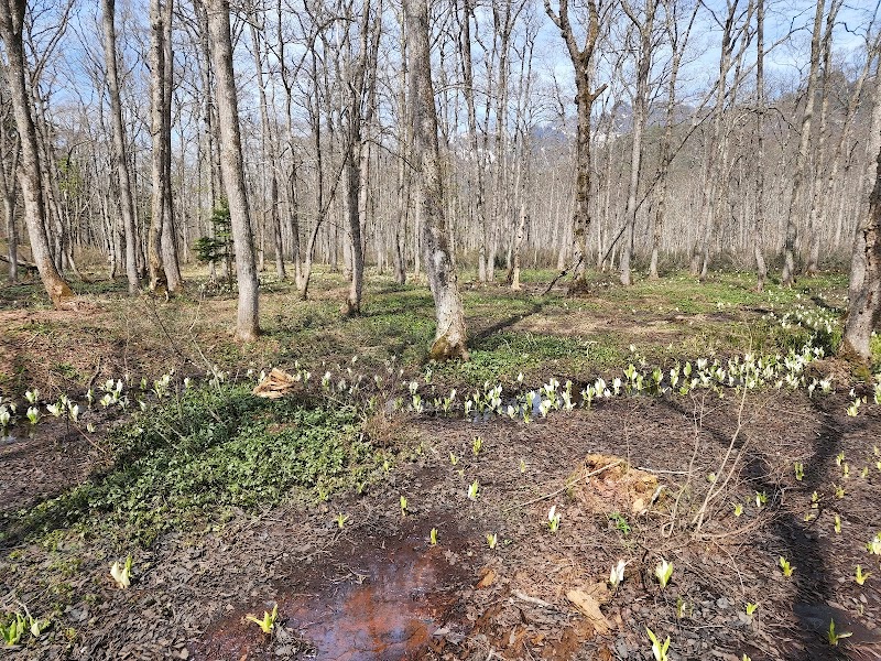 도가쿠시 삼림 식물원