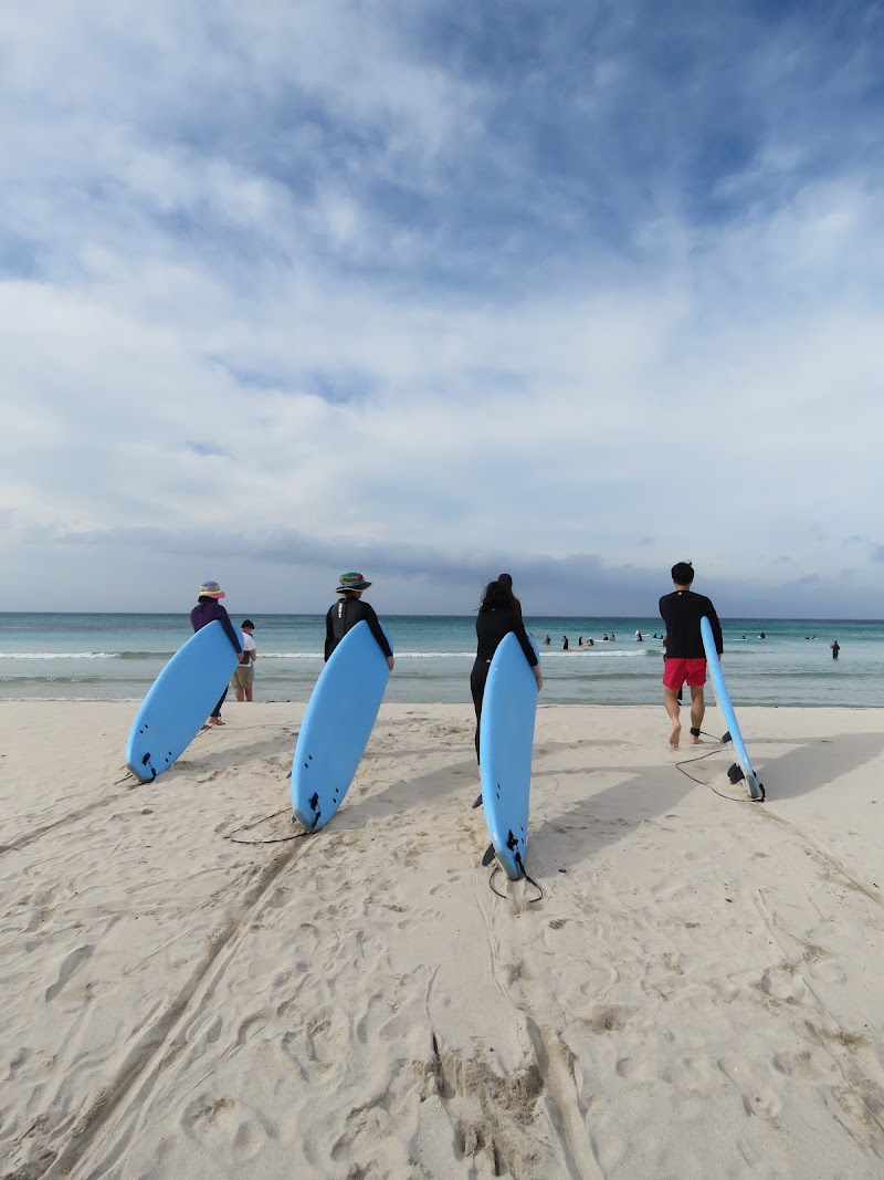 제주 서핑스쿨