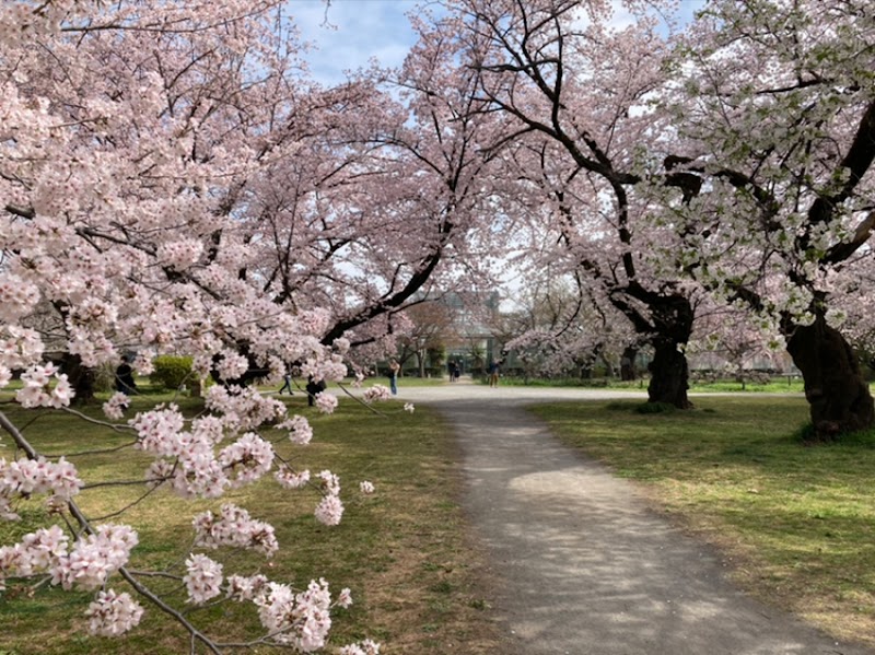 코이시카와 식물원