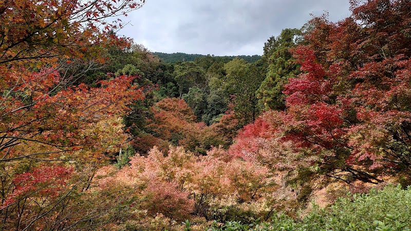 아부라야마 시민의 숲