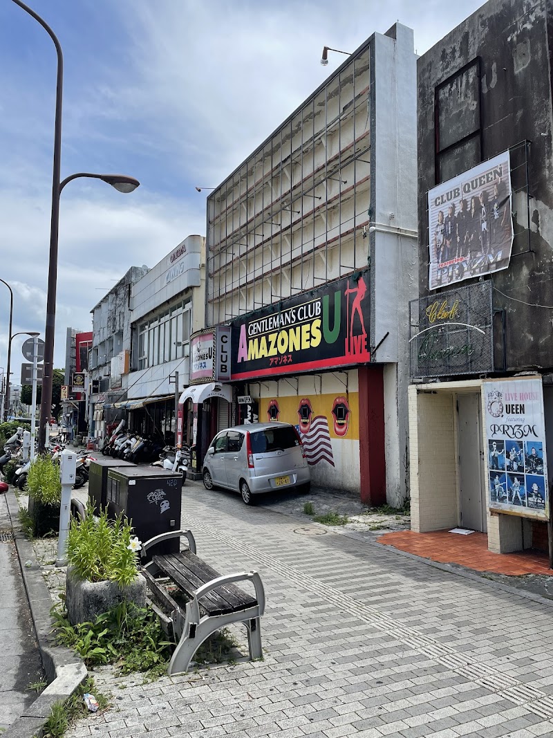 코자 게이트도리