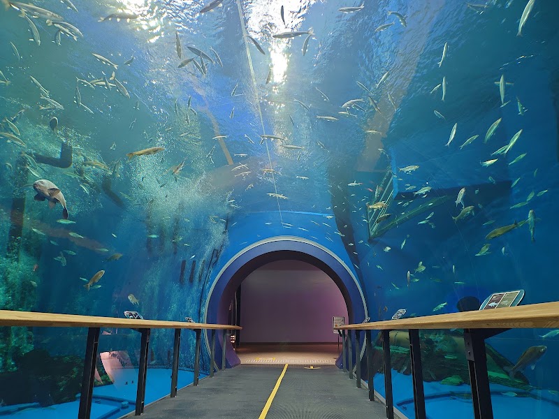 시가현립 비와코 박물관