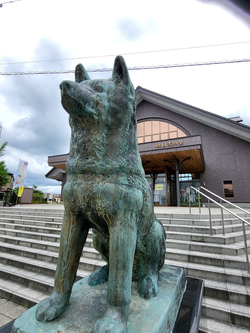 Akita Dog Visitor Center