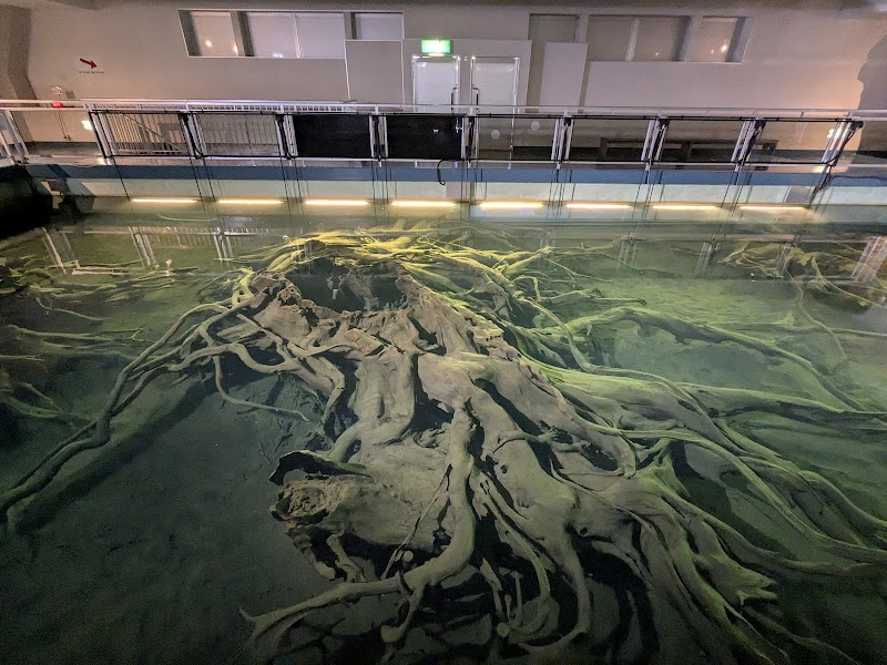 우오즈 매몰림 박물관