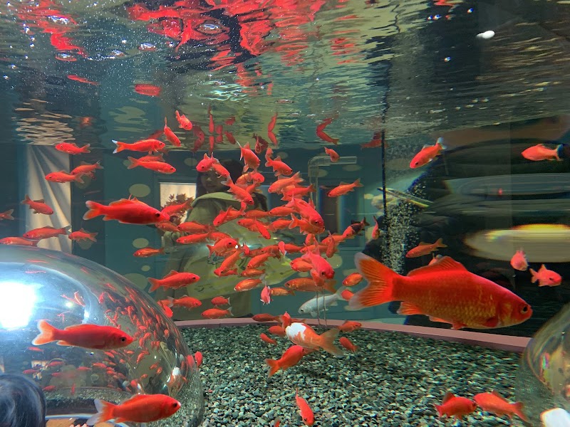 사이타마 수족관