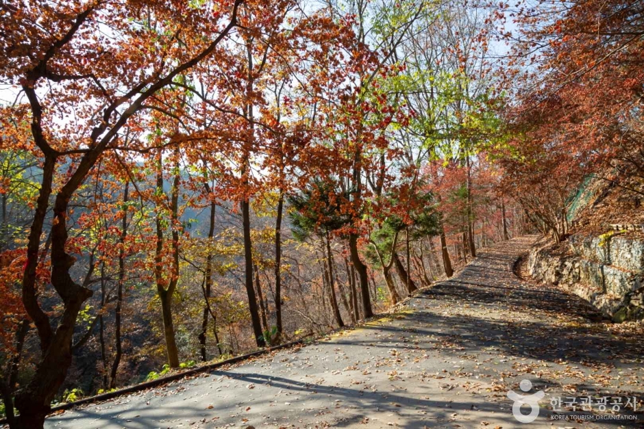 장태산자연휴양림