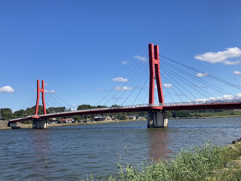 北潟湖畔花菖蒲園・アイリスブリッジ