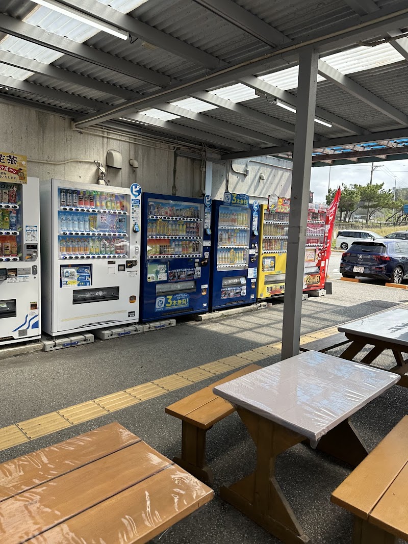 나카유쿠이 선인장 밭