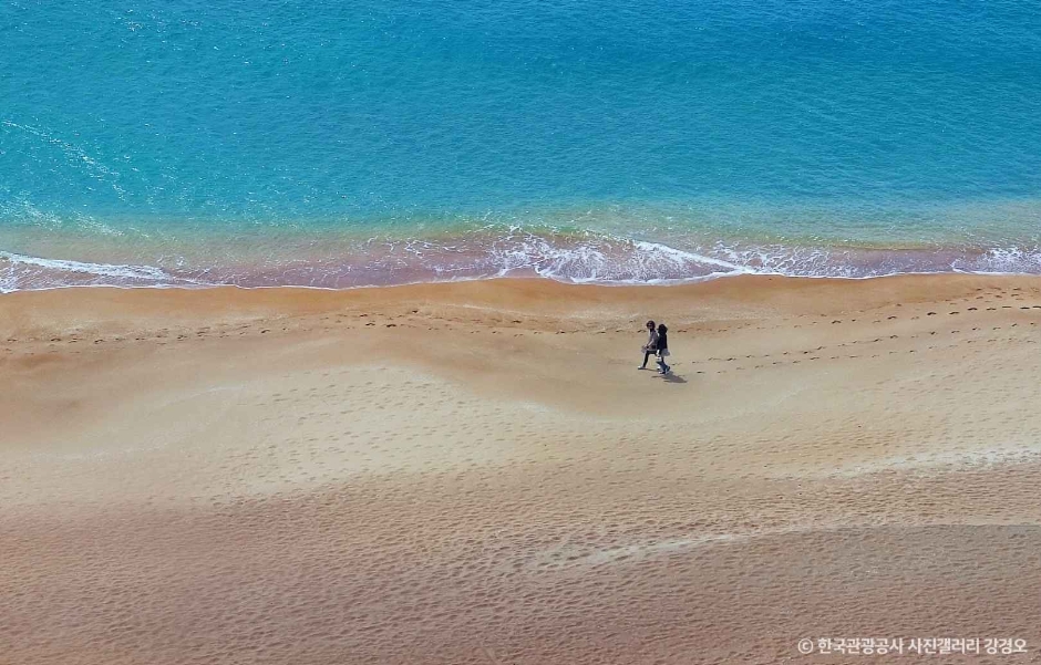 제주현대미술관