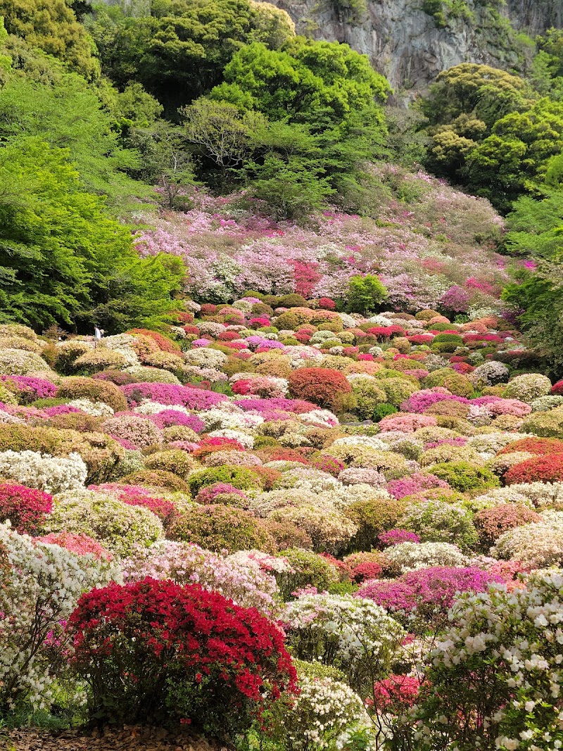 Mifuneyama Rakuen Garden