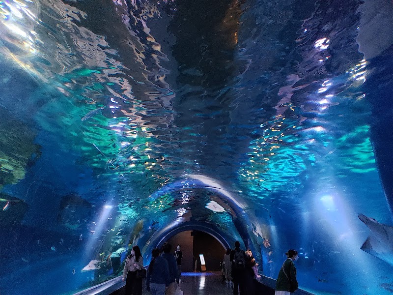 Maxell品川水族馆