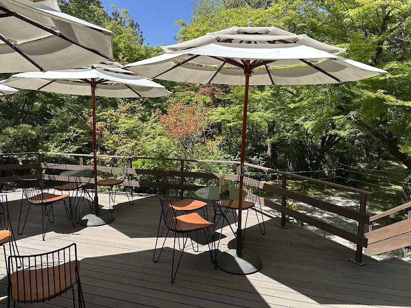 사보 텐조사지키