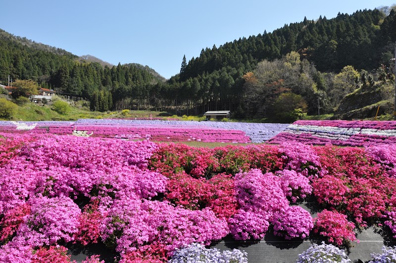 하루미 친수공원 (슈난 콤비나트 야경)