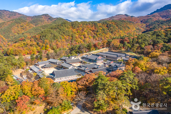 에코랜드 테마파크