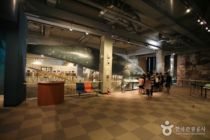 장생포고래박물관