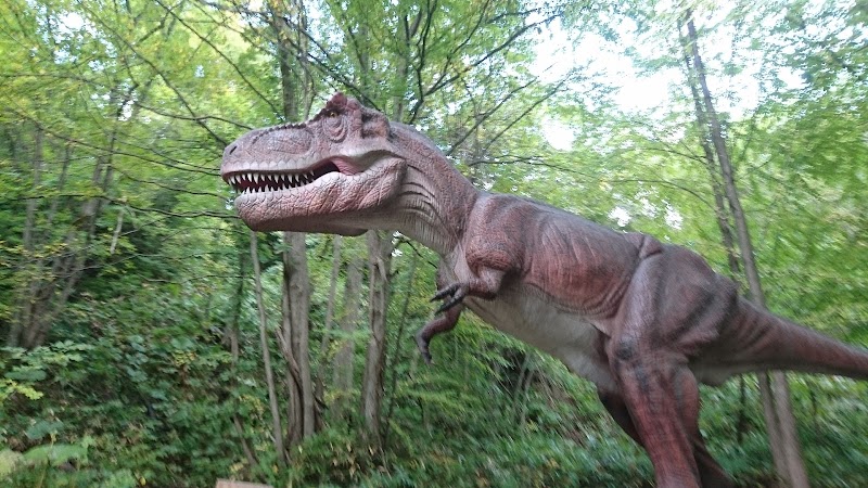 노스 사파리 삿포로