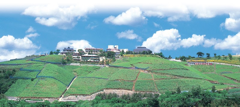 카츠누마 와이너리 거리