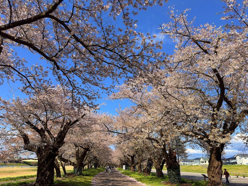 기타카미 덴쇼치